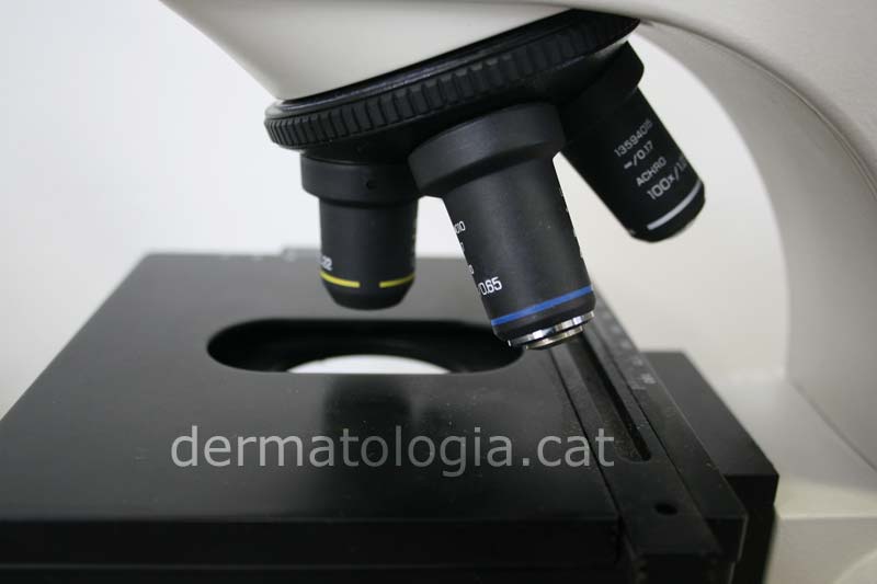 | Examen directo al microscopio